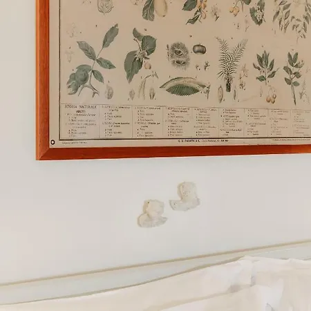 Residenza S. Agostino Holiday home